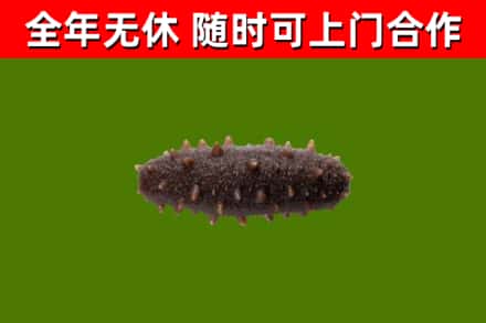 凌河回收海参干