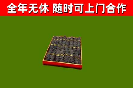 凌河回收海参